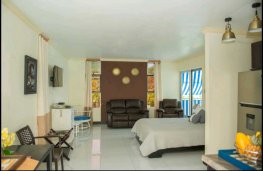 Orchids Oceanview Penthouse Airbnb Taxi Transportation Service Orchids Oceanview Penthouse Airbnb Taxi Transportation Service